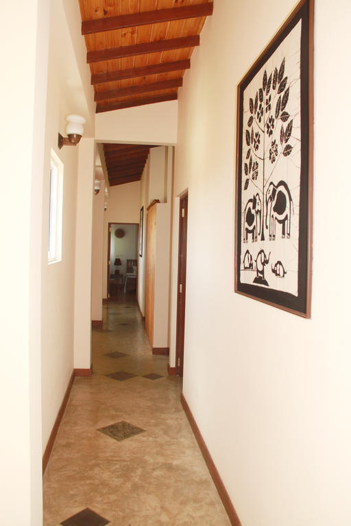Blue Elephant Tourist Guesthouse Kudapaduwa ภายนอก รูปภาพ
