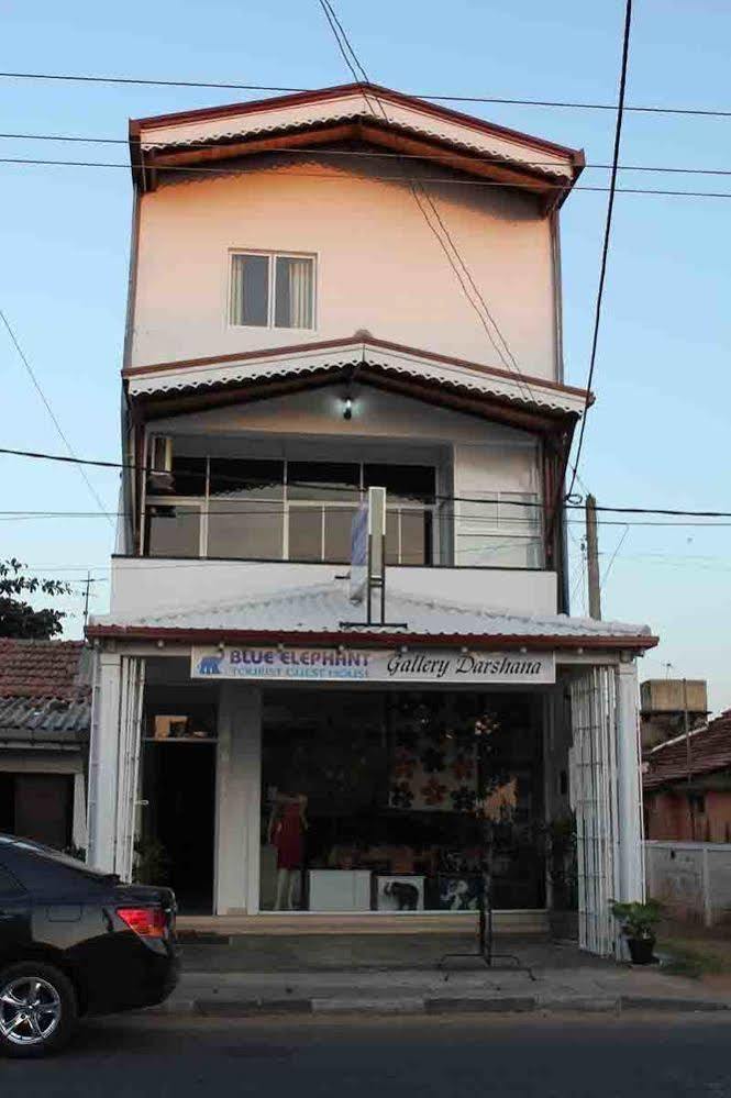 Blue Elephant Tourist Guesthouse Kudapaduwa ภายนอก รูปภาพ